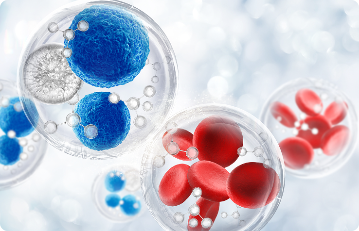 Medical Research